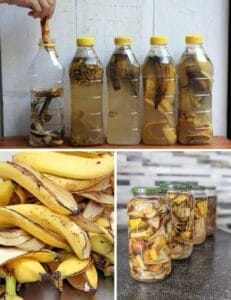 Banana Peel Uses