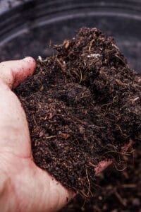 How To Create The Best Organic Potting Soil For Vegetables