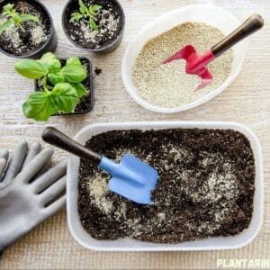 How To Garden With Vermiculite