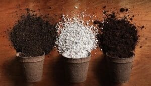 Potting soil and substrates