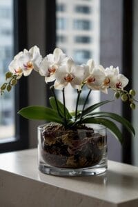 10 Beautiful Flowers Perfect To Grow Indoors